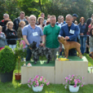 CAC kutyakiállítás (Fotó: Nagy Mária)