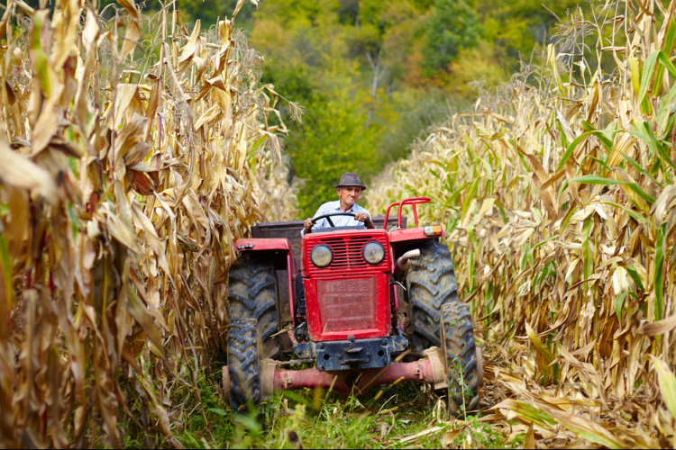 Agrárkamara: július 15-re módosult a tagdíjbevallási határidő