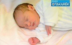 Ozmándi-Bodits Alex, Mosonmagyaróvár