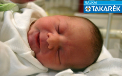 Slezák Bence Botond, Töltéstava