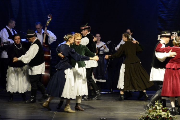 Dan Hrvata, Horvát Nap