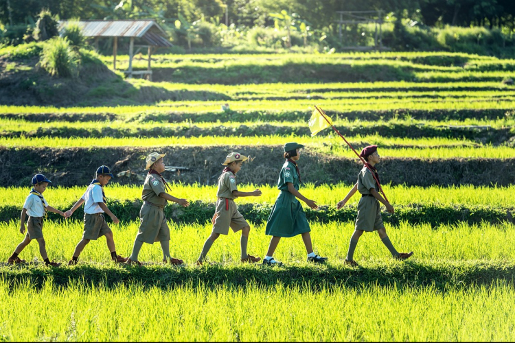 Pályázat nyári napközis táboroztatásra