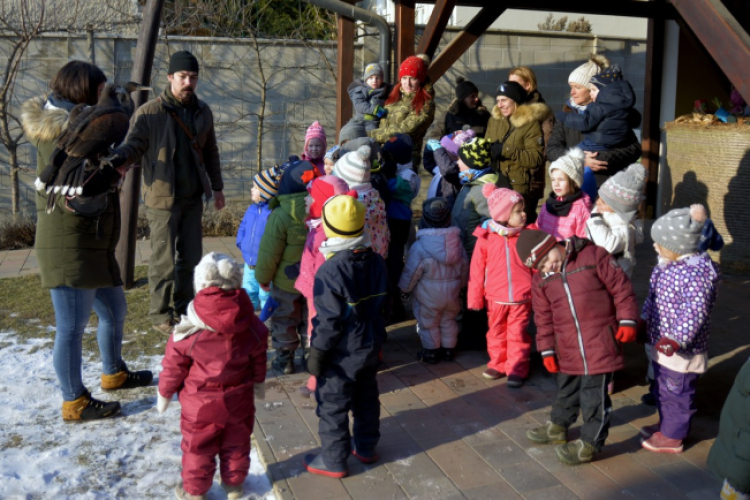 Madaras nap a Pillangó Óvoda és Mini Bölcsődében 