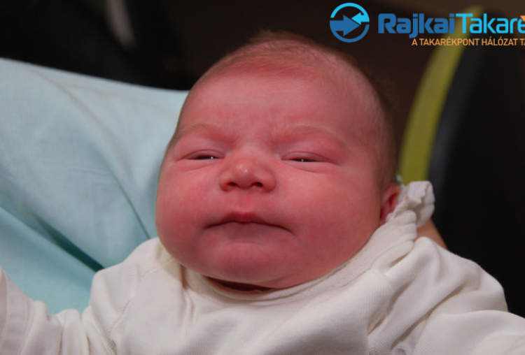 Krigler Hanga, 3620 gr. Mosonmagyaróvár