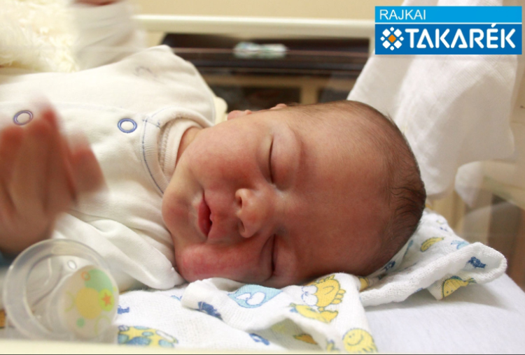 Kis Kornél Levente, Csorna