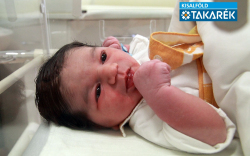 Varga Péter, Jánossomorja