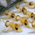 NYÁRI FESZTIVÁL – SZENT ISTVÁN NAPOK 2018, Negyedik nap