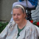 Családi nap a Gyerekek Átmeneti Otthonában