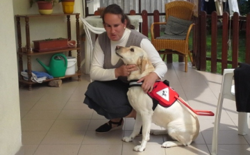 Váratlan fordulat Irisz életében