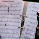 Moson Big Band koncert (Fotó: Bánhegyi István)