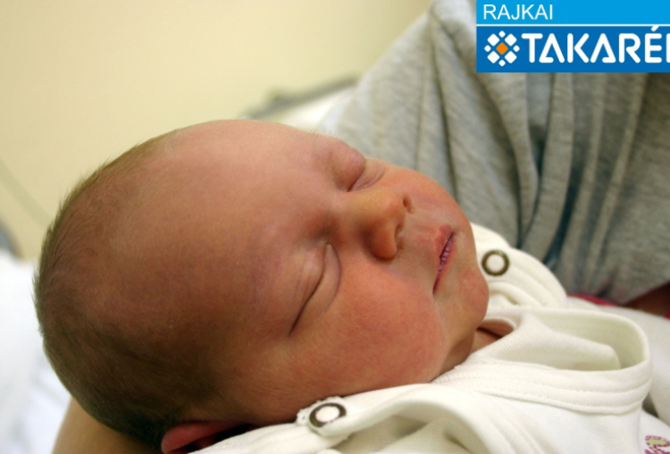 Petrovics Zoé, Mosonmagyaróvár