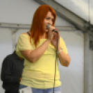 XI. Szigetköz ízei, Vármegye borai Fesztivál 3. nap