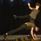 Ünnepi gálaműsor a tánc világnapja tiszteletére - Szigeti Gábor táncpedagógus emlékére