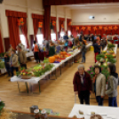 X. Jánossomorjai Tökfesztivál (Fotó: Horváth Attila)