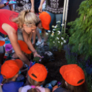 Apró kezek, Csodakertek - IX. Gyermek Kertépítő Verseny