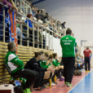 Mosonmagyaróvári Kézilabda Club – FTC-Rail Cargo Hungaria 19 - 31 (11-15)