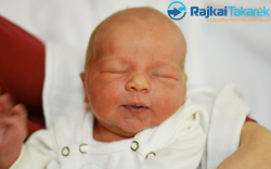 Stencinger Benedek, 3590 gr. Márikálnok