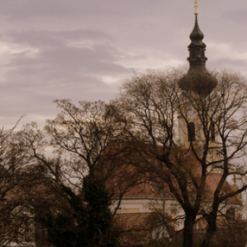 Erzsébet napi vigalom