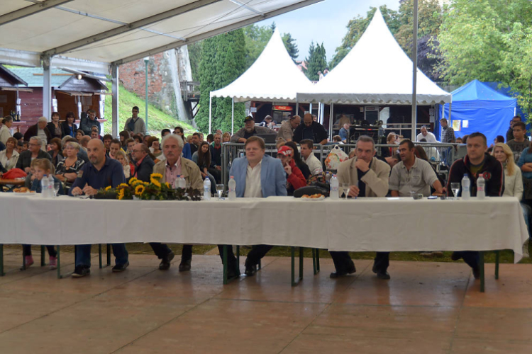 Szigetköz ízei, Vármegye borai Fesztivál (vasárnap) (Fotó: Horváth Attila)