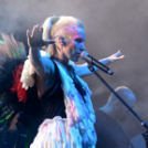 Voluta 1 nap (Fotó: Stipkovits Veronika és Bánhegyi István)