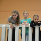 Nyárcsalogató (Fotó: Nagy Mária)