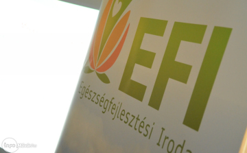 EFI Mosonmagyaróvár