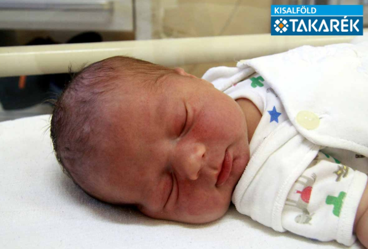 Világi Soma, Mosonszolnok