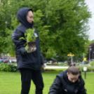 Virágosítás a városközpontban