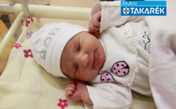 Enzsöl Nóra, Károlyháza