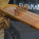 Lengyel-Magyar Nap a Hansági Múzeumban