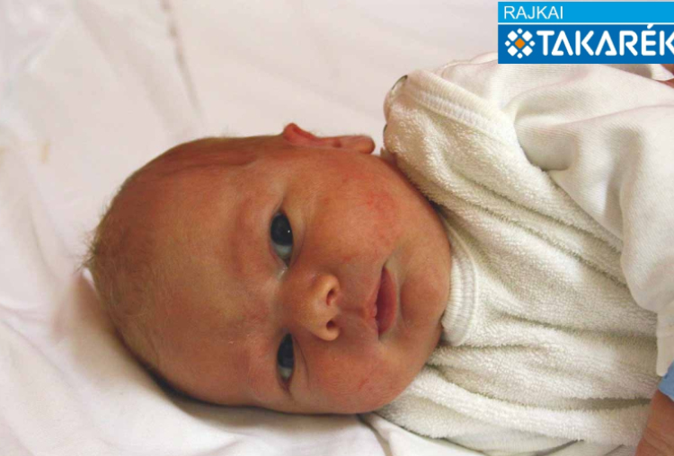 Takó Zente, Tárnokréti