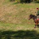 XII. Szigetköz ízei, Vármegye borai Fesztivál 2. nap