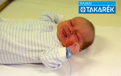 Németh Martin, Győrsövényháza