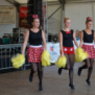 Szigetköz ízei, Vármegye borai Fesztivál 3 nap, 140 Éves Mosonmagyaróvár Város Tűzoltósága (Fotó: Bánhegyi István)