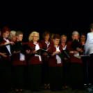 Magyar Kultúra Napja - városi ünnepség (Fotó: Stipkovits Veronika)