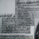 Gróf Széchenyi István emlékezete Moson vármegyében - Beregszászi Balázs előadása