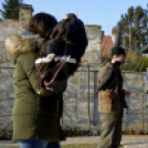 Madaras nap a Pillangó Óvoda és Mini Bölcsődében 