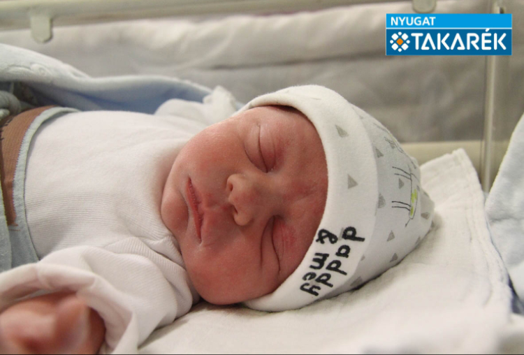 Petrekovits Lénárd, Mosonmagyaróvár