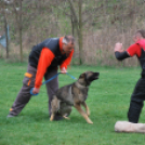 Nyílt nap a Kutya Iskolában (Fotó: Nagy Mária)