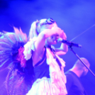 Voluta 1 nap (Fotó: Stipkovits Veronika és Bánhegyi István)