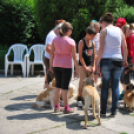 Családi nap a Gyerekek Átmeneti Otthonában