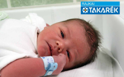 Cséve Marcell, Mosonmagyaróvár