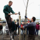 Kőrisfacsemetéket ültettek a diákok a Nolato Magyarország Kft telephelyén