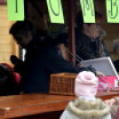 Erzsébet napi vigalom