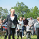 CAC kutyakiállítás (Fotó: Nagy Mária)