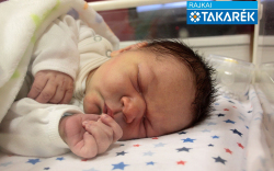 Simon-Kovács Ábel, Mosonmagyaróvár