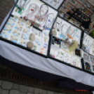 KULT-UTCA - Egészségnap másképp