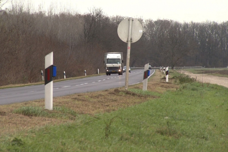 Csökkent a vadgázolások száma