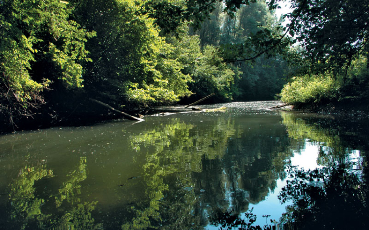 Elindul a szigetközi Duna-projekt