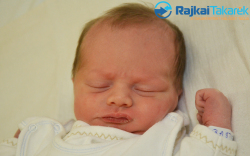 Rajtmár Előd, 3280 gr. Dunasziget